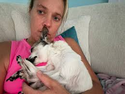 Pet psychic recommendations for grief support