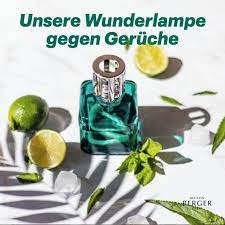 Beseitigt Geruche Beduftet In 2020 Lampe Raumbeduftung Geruch