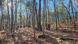 Wolf Hill Hike