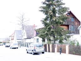 Neben der hauptwohnung zwei attraktive ferienwohnungen! Haus Auf Usedom Zum Verkauf