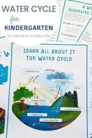 While the specifics can get more complicated, teaching kindergarten students the basics of the plant life cycle is not difficult. The Water Cycle For Kindergarten Activities And Lessons Kids Love Natural Beach Living