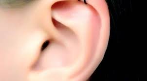 No Piercing Black Criss Cross Helix X Ear Cuff Twisted Hoop Cartilage Jacket X Ring Ear Cuff Fake Faux Piercing Ohrklemme Ohrclip Manschette In 2020 Ear Cuff Ear Cuff Jewelry Twist Jewelry