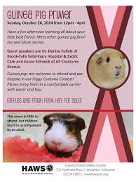 Guinea pig, wisconsin » watertown. A Special Day For Special Little Friends Waukesha Wi Patch