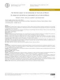 Image result for Buchnera longispicata