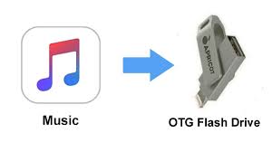 How To Transfer Music From Iphone Music Library To Otg Flash Drive Youtube