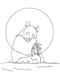 How To Draw Panda Coloring Page Coloring Sun Panda Coloring Pages Panda Drawing Coloring Pages