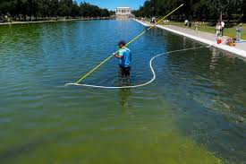 Trump picks loyalist to oversee probe into what went wrong with the Reflecting Pool