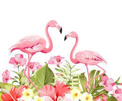 Baixe Flor Tropical E Flamingos Em Fundo Branco Ilustracao Vetorial Gratuitamente Flores Tropicais Flamingos Ilustracao Vetorial