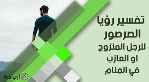 تفسير حلم الصرصور بالتفصيل الدلالات الايجابية والسلبية ارب حظ