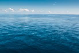 Jul 08, 2021 · the oceans and their marginal seas cover nearly 71 percent of earth's surface, with an average depth of 3,688 metres (12,100 feet). 50 Mind Blowing Facts About Our Oceans Marine Life Marine Madness