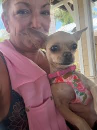 Cheeto's 4th birthday pet shopping at Petco