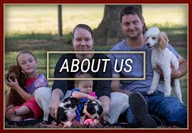 Keeping our mommy dogs and doodle puppies happy and healthy is the name of the game! Mini Bernedoodle Goldendoodle Breeder Central Illinois Doodles