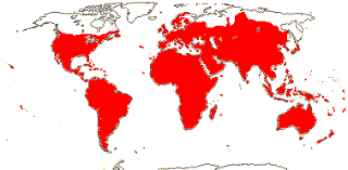 Image result for Nectaropetalum carvalhoi