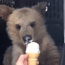 # ahoy # are # awkward # cone # cream # cute # desert # dessert # food # funny # here # ice # ice cream # icecream # lol # smile # stranger # summer # things # you. Ice Cream Stand Gifs Get The Best Gif On Giphy