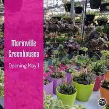 The greenhouse guide video series was created to help you learn about all of the different cannabis options 103 e. Morinville Greenhouses Home Facebook