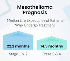 mesothelioma is an aggressive and deadly form of cancer. Mesothelioma Prognosis Factors Affecting Life Expectancy