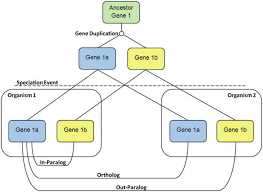 A Diagram Displaying The Processes That Can Lead To And Define Download Scientific Diagram