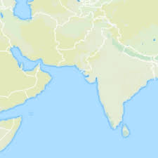 Image result for Belonophora coffeoides