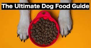 Are you looking for the best uk dog food brands for their proper health and nutrition? The Best Dog Food Brands For 2021 Dog Food Network