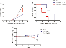 Herzlich willkommen in der großen straße: Frontiers Inducible Costimulator Expressing T Cells Promote Parasitic Growth During Blood Stage Plasmodium Berghei Anka Infection Immunology