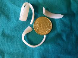 Entwurmung Biologische Daten Wissenswertes Animaldoc Kleintierpraxis Kaltern Patrick Andergassen