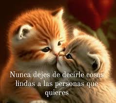 Amorsonrie | ????????Nunca dejes de decirle cosas bonitas a las personas que  quieres. Never stop saying nice things to the people you love.  @king_off_dpz… | Instagram
