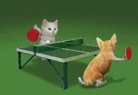 Look at xu xin =p. Gif Table Tennis Animated Gif On Gifer