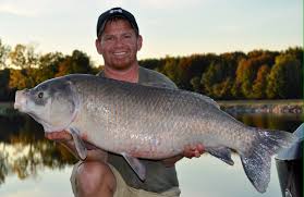 Flathead catfish can grow much larger than channel catfish. Current Ohio Record Fish Outdoor Writers Of Ohio