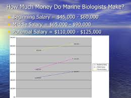 Clinical Nurse Educator Salary What Is The Salary Of A