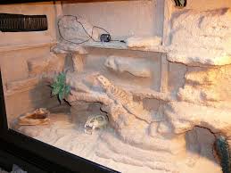 Sick bearded dragon and i ca. Bearded Dragon Org View Topic Viv Pics Only Thread Bearded Dragon Terrarium Diy Bearded Dragon Cage Bearded Dragon Terrarium