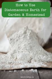 Using Diatomaceous Earth Diatomaceous Earth Diatomaceous Earth Food Grade Garden Pests