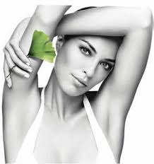 New Zealand Cup Meeting