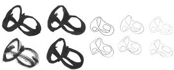 The country has sent athletes to compete in every summer olympic games since then, except for the 1928 games. Rio 2016 Olympics Logo Designed By Fred Gelli Tatil