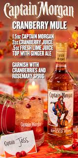 Morgan S Melon Rum Drinks Recipes Spiced Rum Drinks Drinks