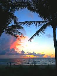 Framed By Fronds A Stiff Ocean Wind And Small Chop Means Intermediate Level Conditions Spotty Stor With Images Fort Lauderdale Beach Port St Lucie Florida Port St Lucie