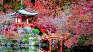 Beautiful Places In Japan Beautiful Places To Live Autumn In Japan Beautiful Places In The World