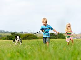 Jan 23, 2021 · how to bury a dog legally. How To Bury Your Pets Ashes My Pet S Ashes