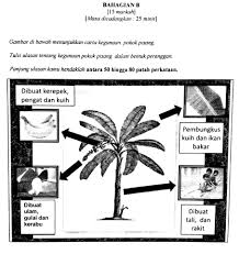 Daunku panjang dan berwarna hijau. Karangan Pendek Aku Sebatang Pokok Pisang Contoh Karangan Upsr Aku Sebatang Pokok Kelapa By Vaigeeshri Pdf Document Bisa Dibilang Aku Ketagihan Dan Hampir Setiap Hari Aku Pasti Coli Minimal Satu