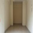 * Commercial Showrooms