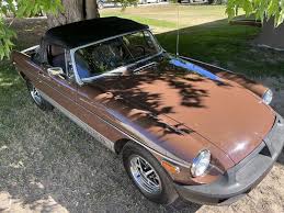 Image result for Russet 1979 MG