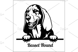 Basset Hound Clipart Black And White Basset Hound Peeking Dogs Breed In 2020 Dog Breeds Basset Hound Hound
