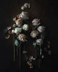 Get lisa pine's contact information, age, background check, white pages, email, criminal records, photos, relatives & social networks. Bruce Boyd Bruceboyd360 Profile Pinterest