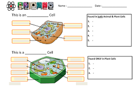 All the organs in multicellular organisms are composed of tissues. Cells Tissues Organ Systems Pupil Worksheet Bundle Biology Teaching Resources