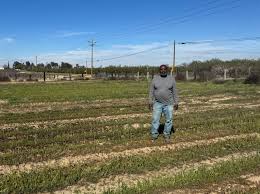 Meet an Organic Transition Grantee—Donald Sherman