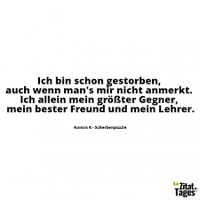 Durch das neu anstehende album hab ich aber wieder zurück zu sdp gefunden und deshalb auch zu diesem blog. Sdp Echte Freunde