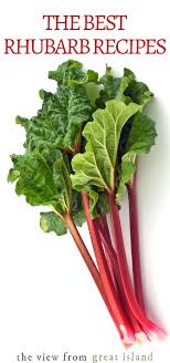 Rhubarb is in season from mid spring through early summer, from about april to june. All About Rhubarb Plus The Best Rhubarb Recipes The View From Great Island