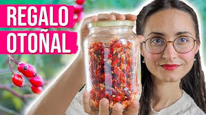 Properties of HAWKHILL ❤️ For a strong HEART