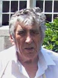 THE BEES FAN WHO HAS BUILT HIS OWN GRIFFIN PARK (TWICE)