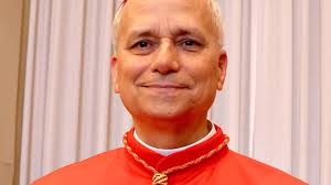 Kim jest papież Leon XIV? Już przeszedł do historii, a w jego żyłach płynie  europejska mieszanka