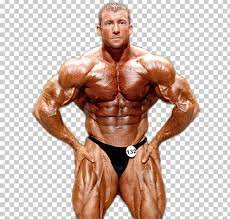 Bodybuilding Png Bodybuilding Bodybuilding Png Gain Muscle